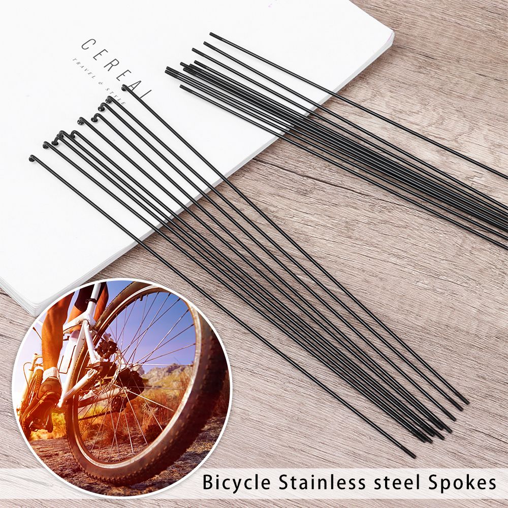 10set 14g raggi in acciaio ino - Spoke Nipple Brass recensione e prezzo