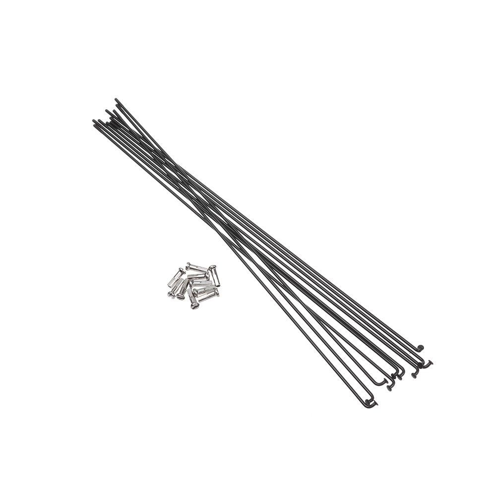10set 14g raggi in acciaio ino - Spoke Nipple Brass recensione e prezzo